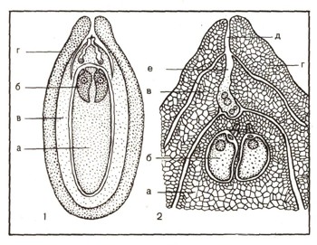 1560-11.jpg